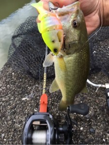 o0480064113691522428