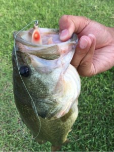 o0480064113694807335