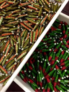 o0480064113698098658