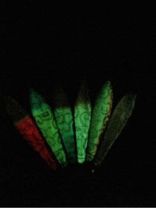 o0480064113698098689