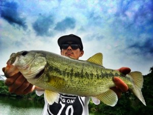 o0640048013690562478