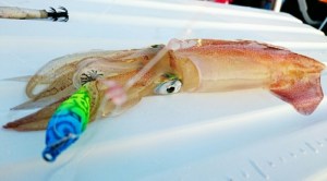 o0800044413680639622