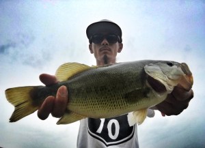 o0800058113692478357