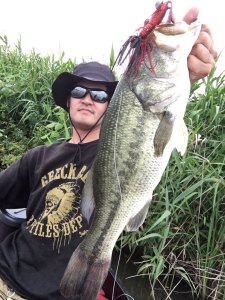 o0800106713693771480