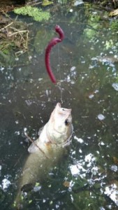 o0220039113733651365