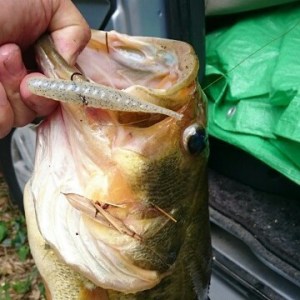 o0360036013733647014