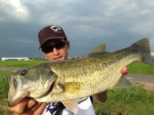 o0480036013713323315