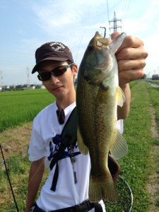 o0480064013713323295