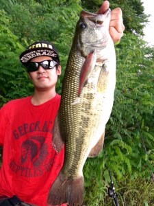 o0480064013725669826