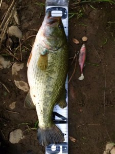 o0480064013725669827