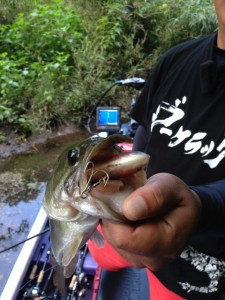 o0480064013730976205