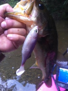 o0480064313726205126