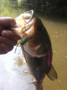 o0480064313726205132