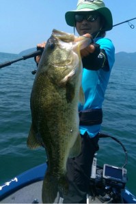 o0480072213722084222