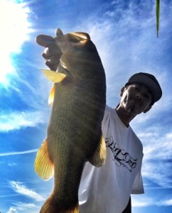 o0516064013710997487