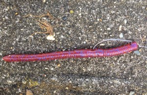 o0640041613710997488