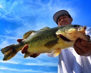 o0640051213710997486