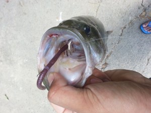 o0653049013727305365