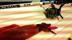 o0800045013708109593