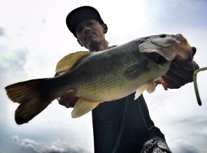 o0800059413708066904