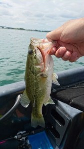 o0270048013741049655