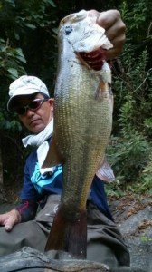 o0360064013741018579