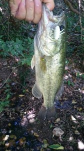 o0360064013741018580