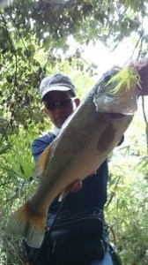 o0360064013741018582