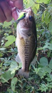 o0360064013741019079