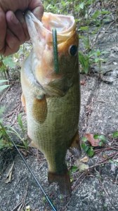 o0360064013741019080