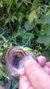 o0360064013741019082