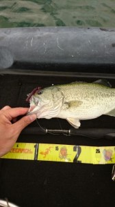 o0360064013741049657