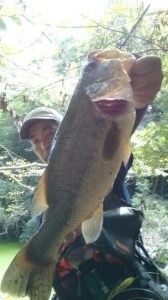 o0360064013742490217