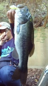 o0360064013742490878