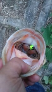 o0360064013742492758