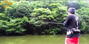 o0480024113739020692