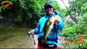 o0480027313739020688