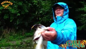 o0480027913739020699