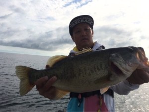 o0480036013748049784