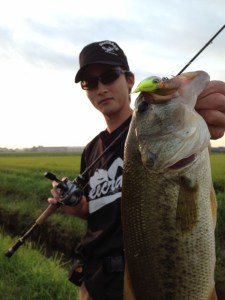 o0480064013738137623