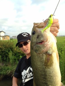 o0480064013738151507