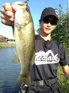 o0480064013738455339