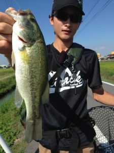 o0480064013738455344