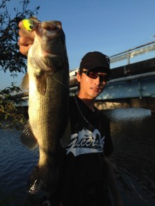 o0480064013738571884