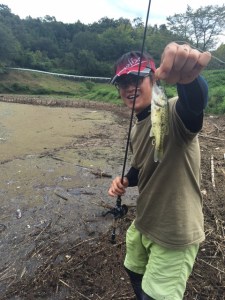 o0480064013742387944