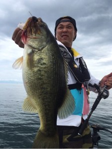 o0480064013748049798