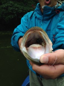 o0480064013752336049