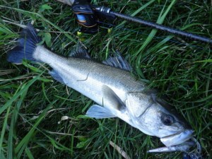 o0640048013741024676