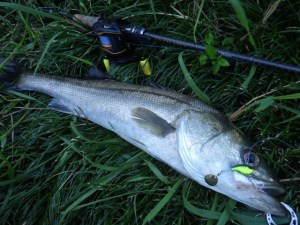 o0640048013741024677