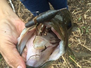 o0640048013742387867